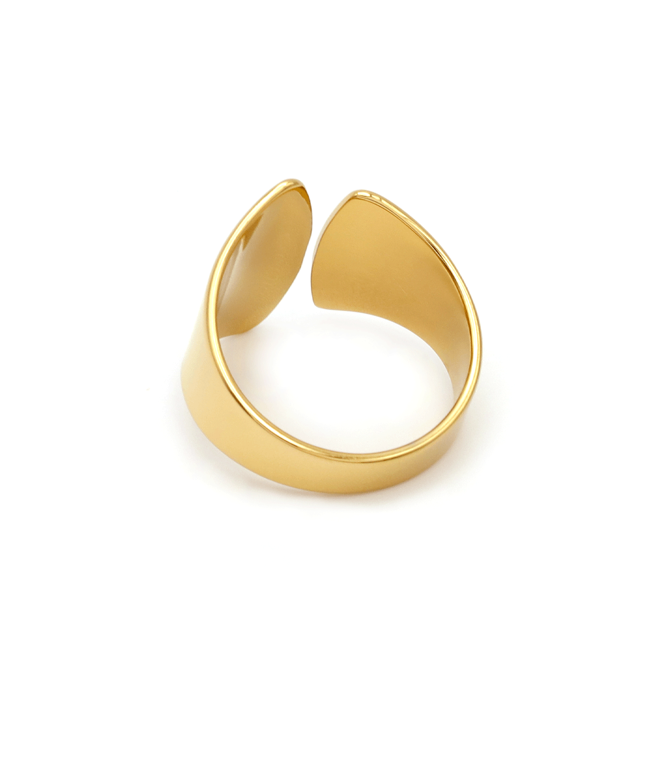 Anillo Ginkgo Biloba