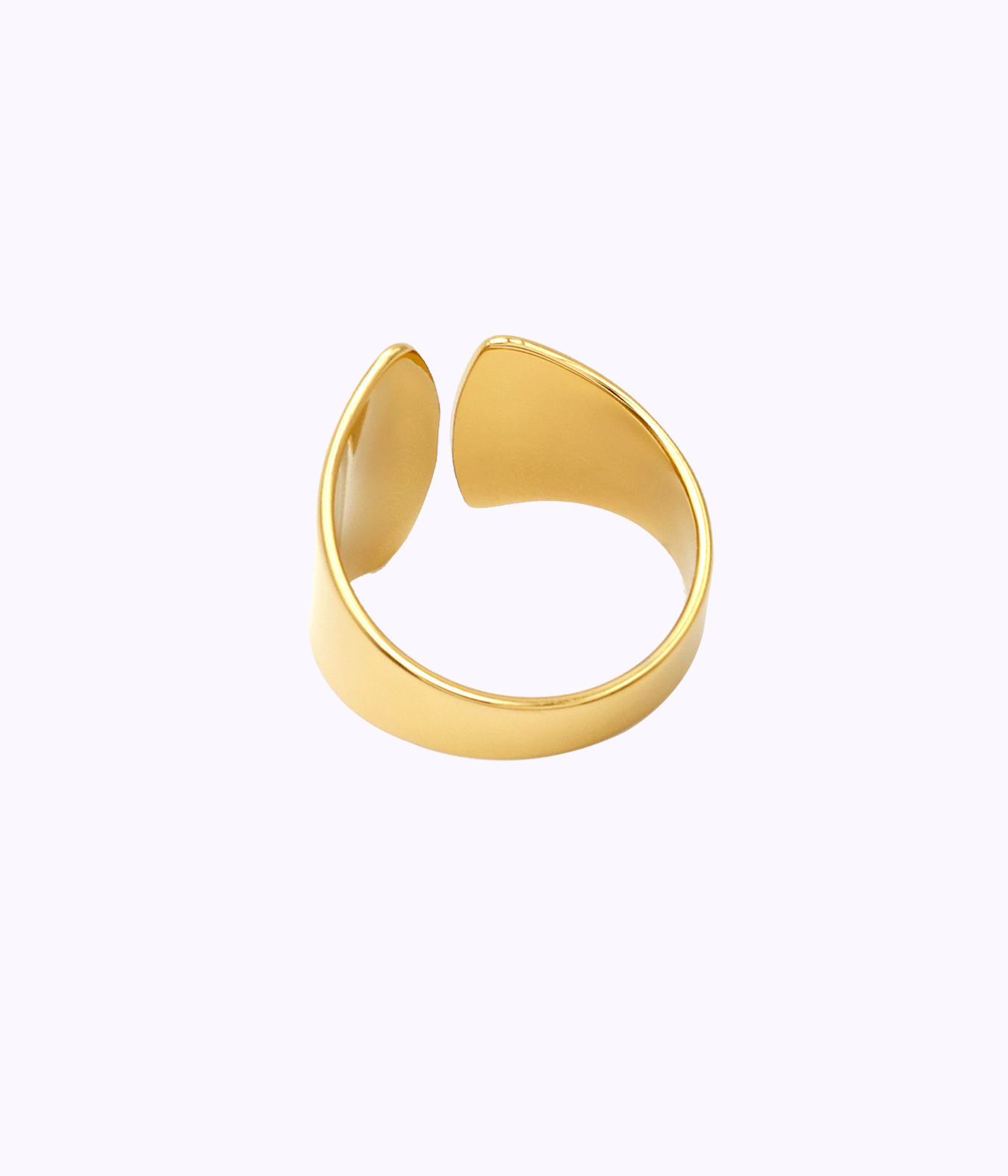Anillo Ginkgo Biloba