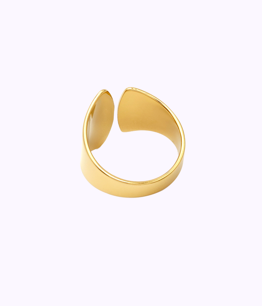 Anillo Ginkgo Biloba